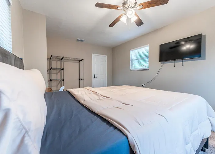Zenhomes In Tampa Near Usf